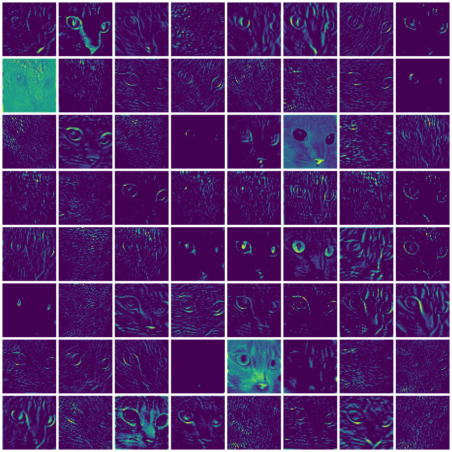 Sixty-four 55 by 55 activation maps of AlexNet's first layer for a photo of a cat