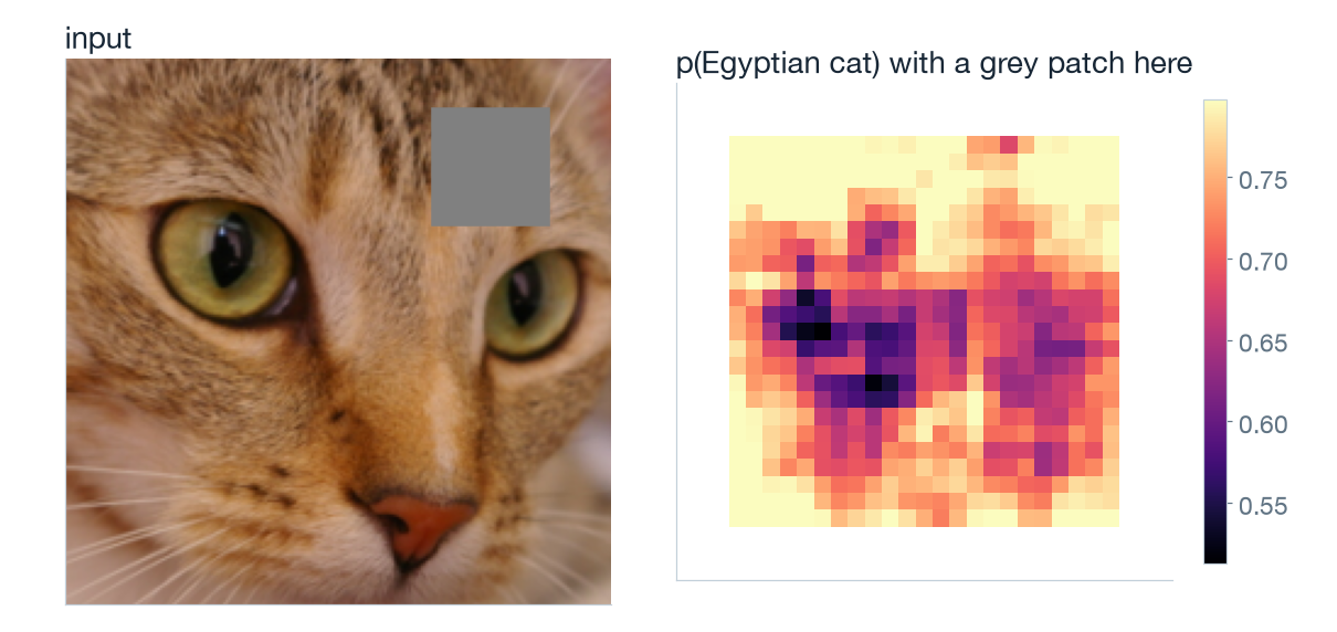 Cat photo with a grey patch, and a map of the Egyptian-cat probability for every patch position